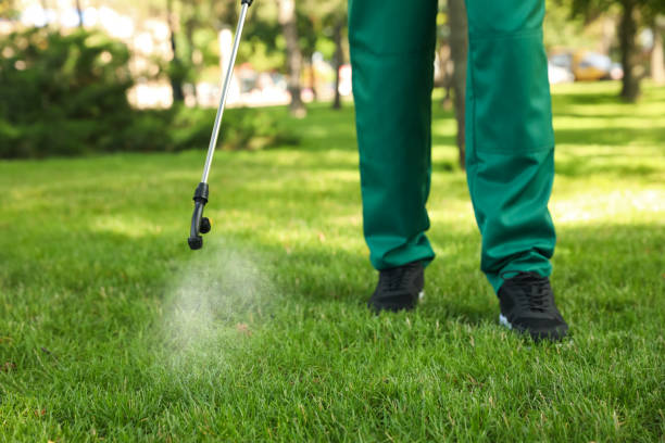 Best Commercial Pest Control Services  in Cassopolis, MI