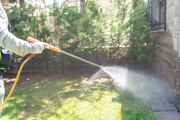 Best Affordable Pest Control Services  in Cassopolis, MI