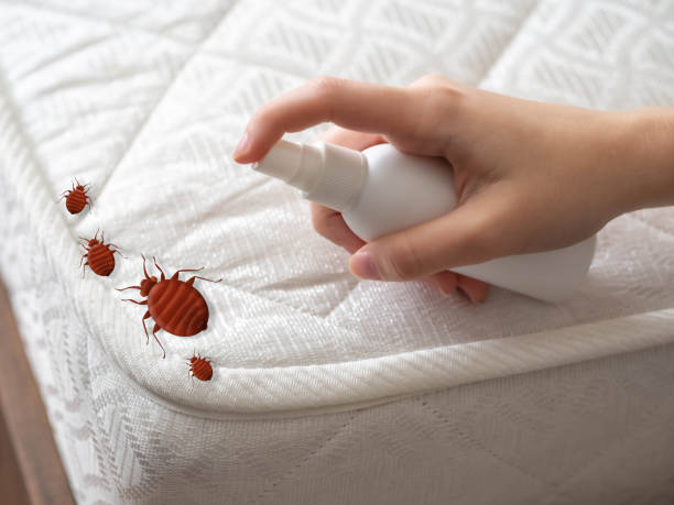 Best Commercial Pest Control Services  in Cassopolis, MI