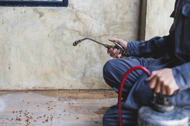 Best Termite Control Services  in Cassopolis, MI
