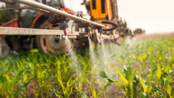 Best Mosquito Control Services  in Cassopolis, MI